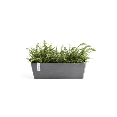BR.45.GR-Productshot_01-Ecopots_plant