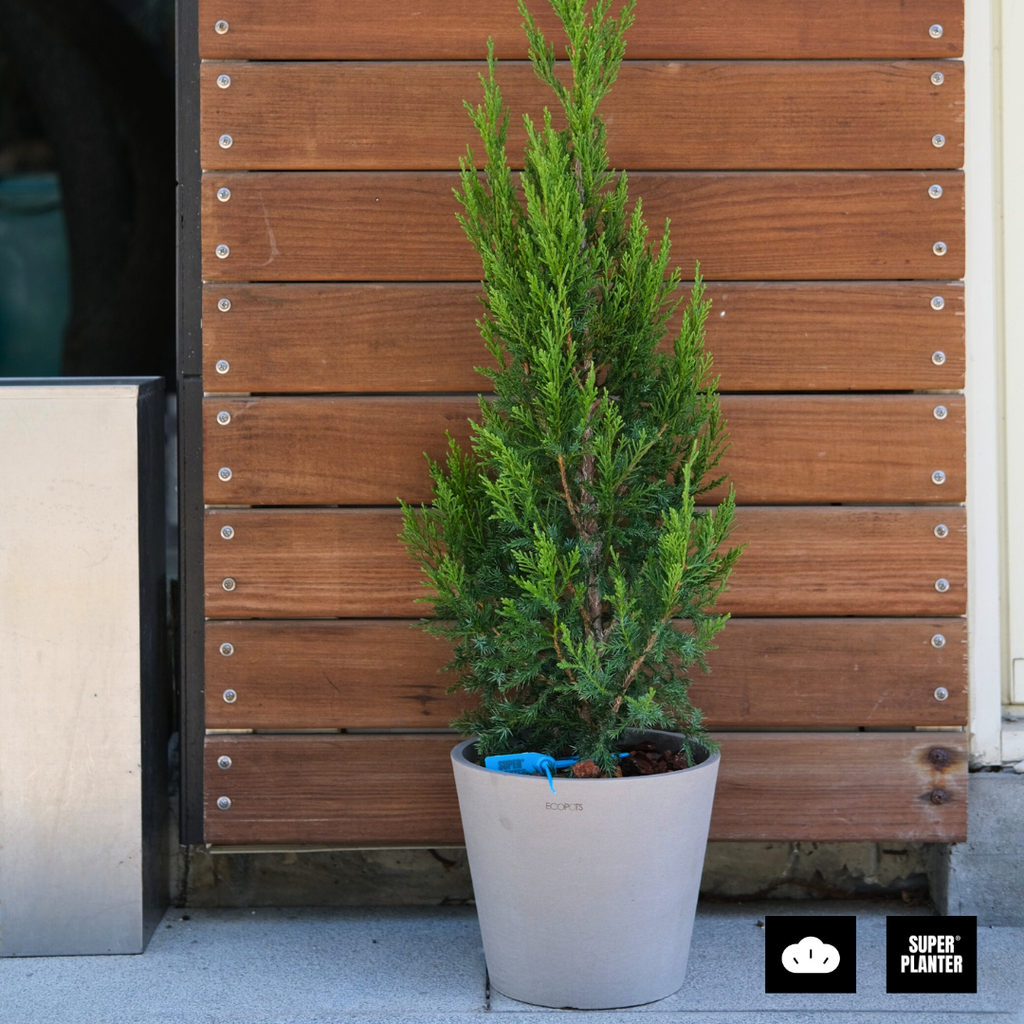 42f9b9a153ac1d4a7f0a439e7f3eaae8