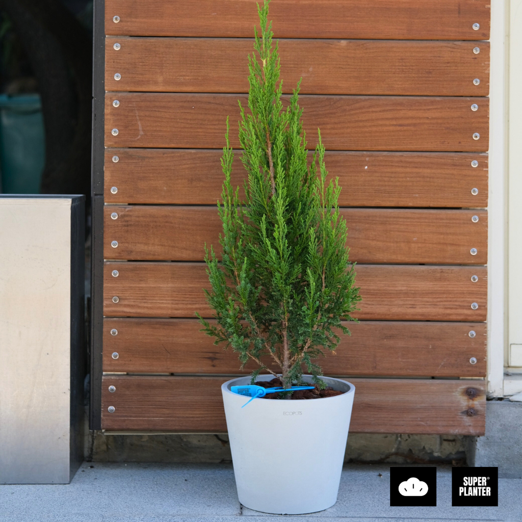 bcc667510e6eef304cb10decd189ab26