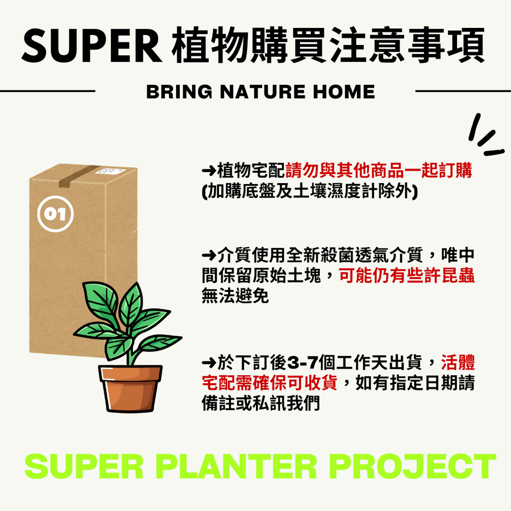 植物宅配商品圖