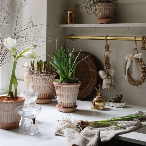 Bergs-Potter_raw_Pantheon_Atlas_Simona_mixed_raro_ 27.01.25, 13 27 13_SpringSpiration_VA