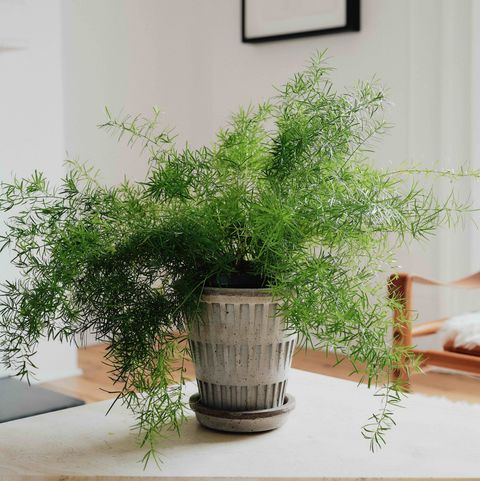 BERGS-POTTER-Pantheon-raw-nogr-138-JHDH