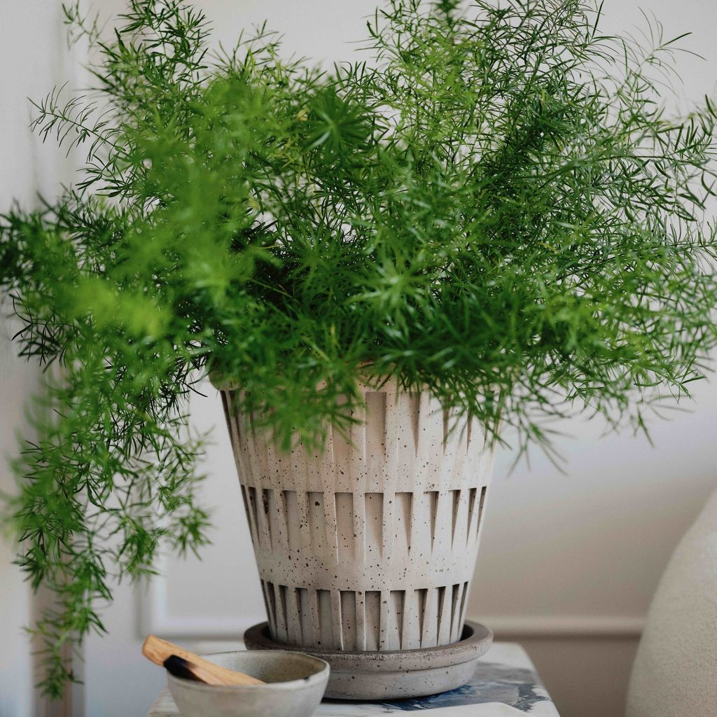 BERGS-POTTER-Pantheon-raw-nogr-051-JHDH