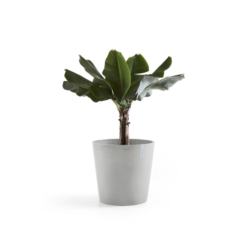AM.60.WG-Productshot_03-Ecopots_plant