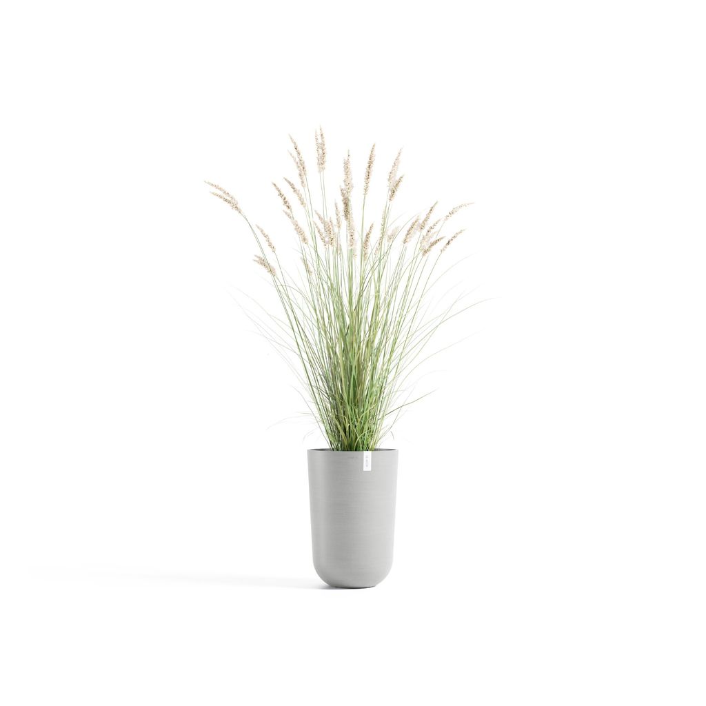 OSLH.52.WG-Productshot_01-Ecopots_plant