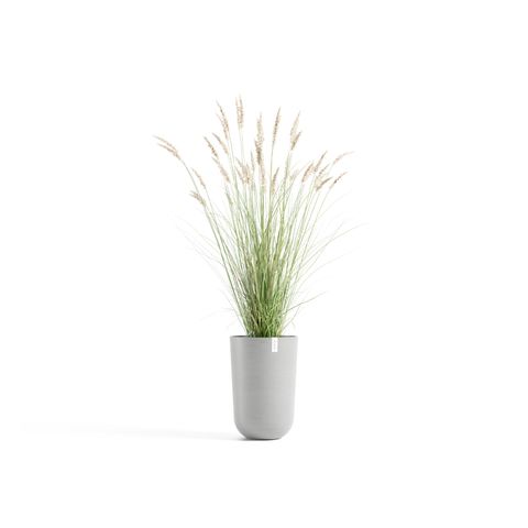 OSLH.52.WG-Productshot_01-Ecopots_plant