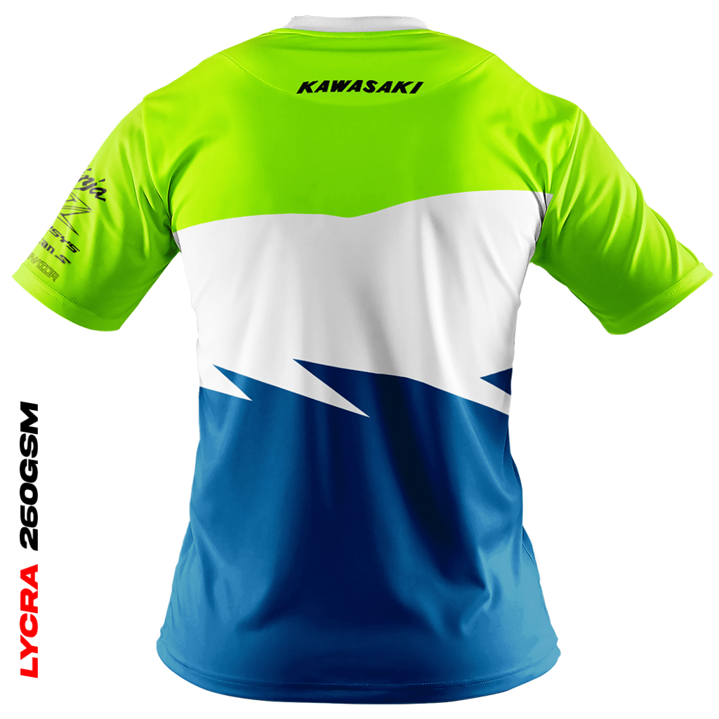 kawasaki_anniversary_back