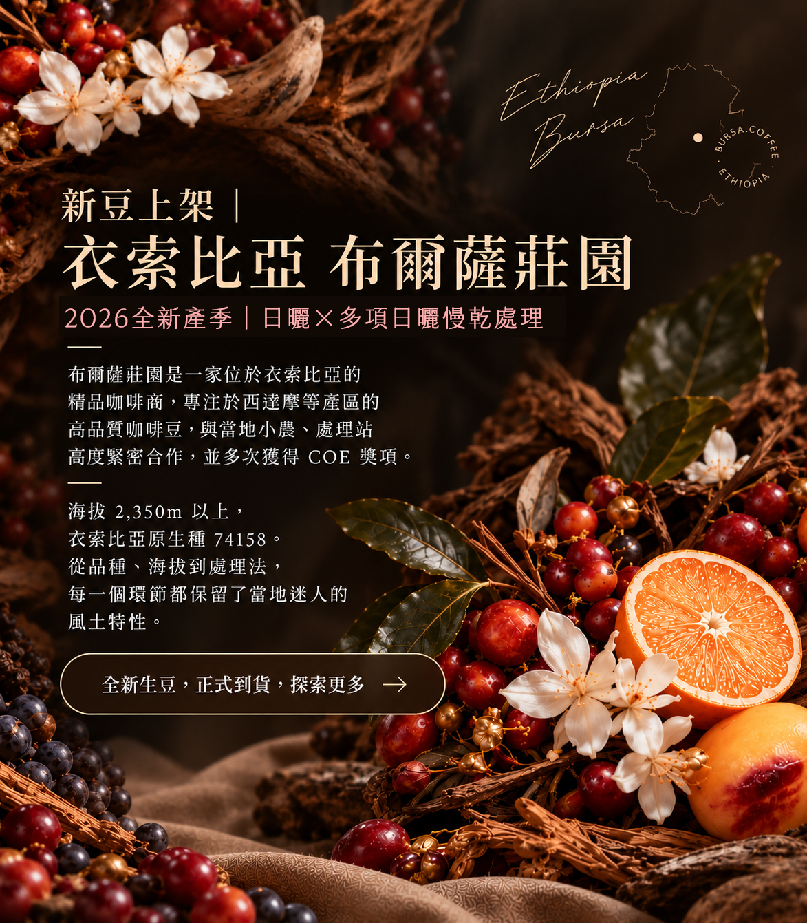  | 93 coffee beans & tools 93咖啡