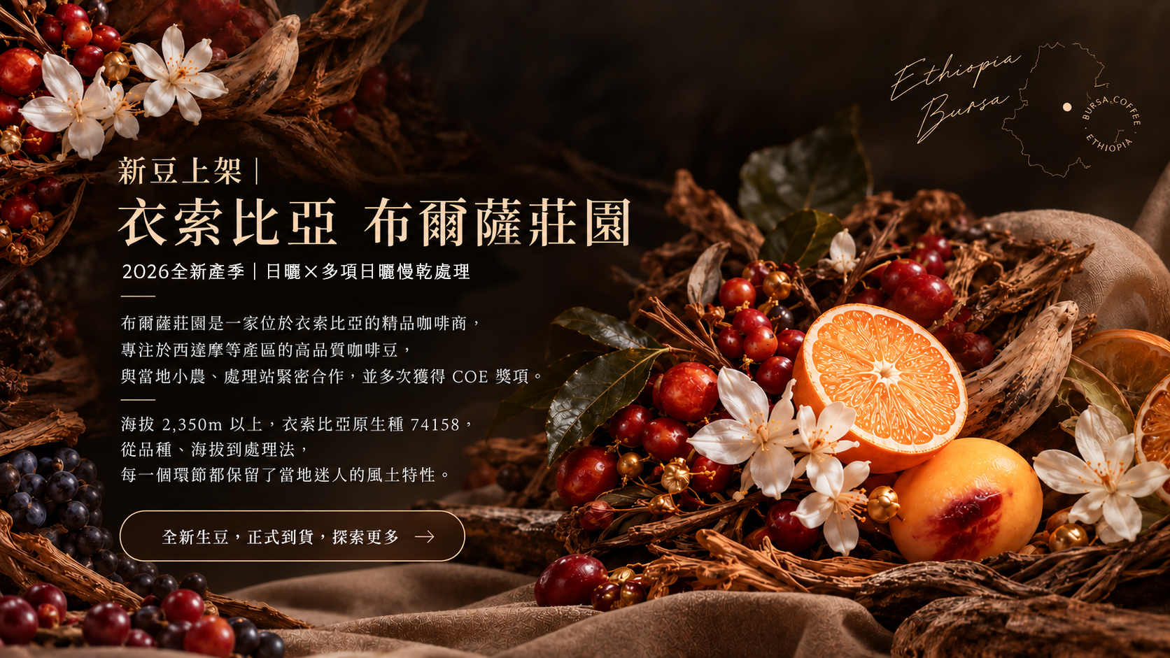  | 93 coffee beans & tools 93咖啡