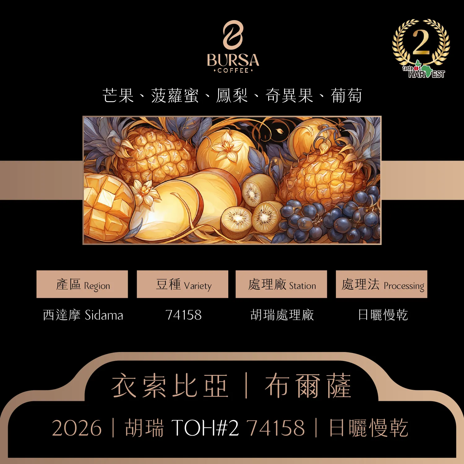 衣索比亞 布爾薩 胡瑞 74158日曬慢乾 2026 toh 日曬組第二名1