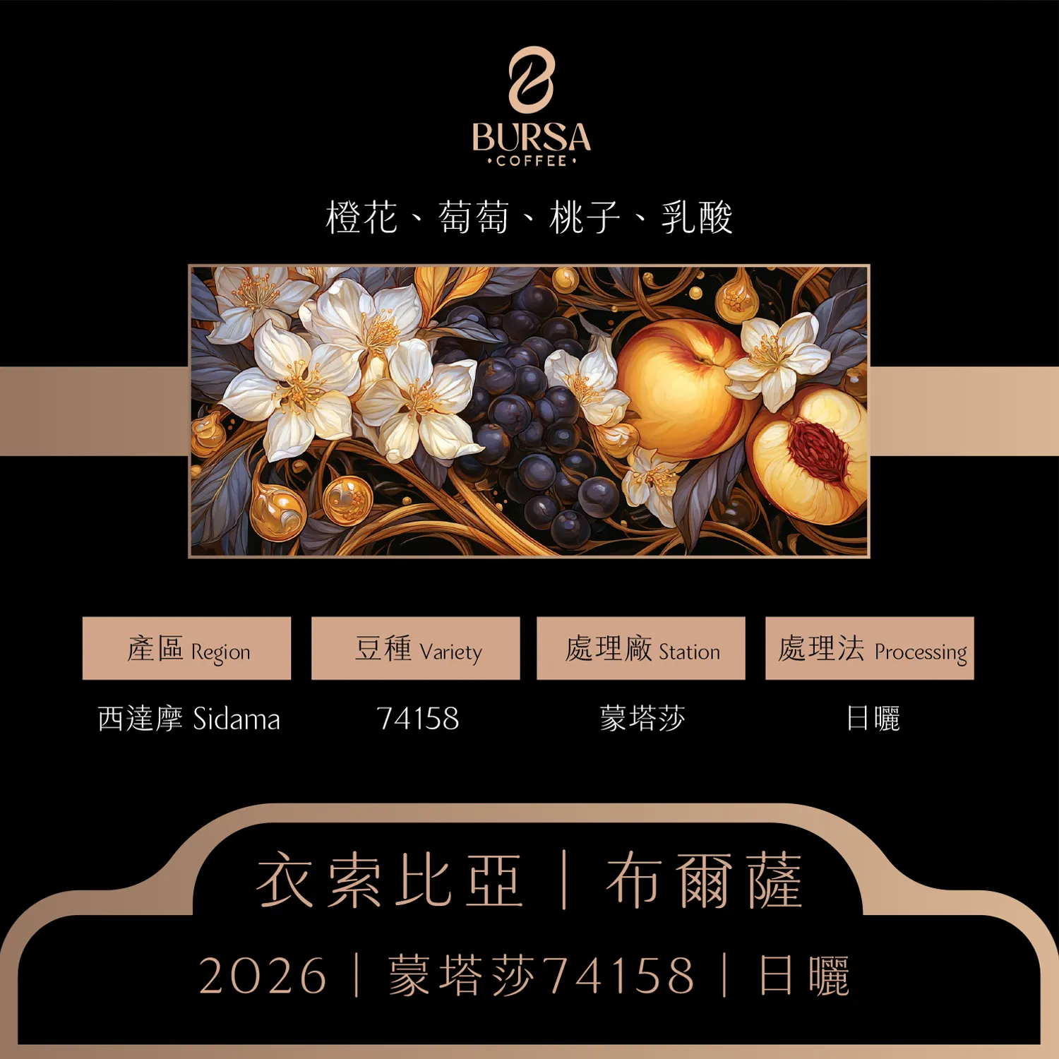 衣索比亞 布爾薩 西達摩 蒙塔莎 74158 日曬 拷貝1_0