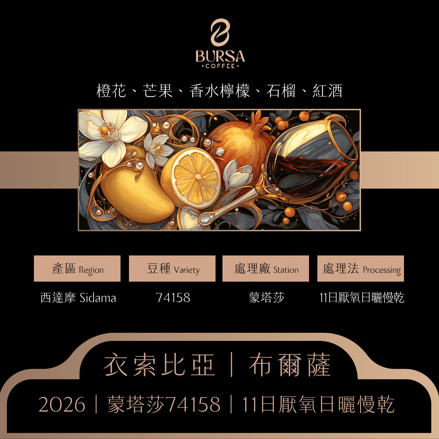 衣索比亞 布爾薩 西達摩 74158 11日厭氧日曬慢乾1_0