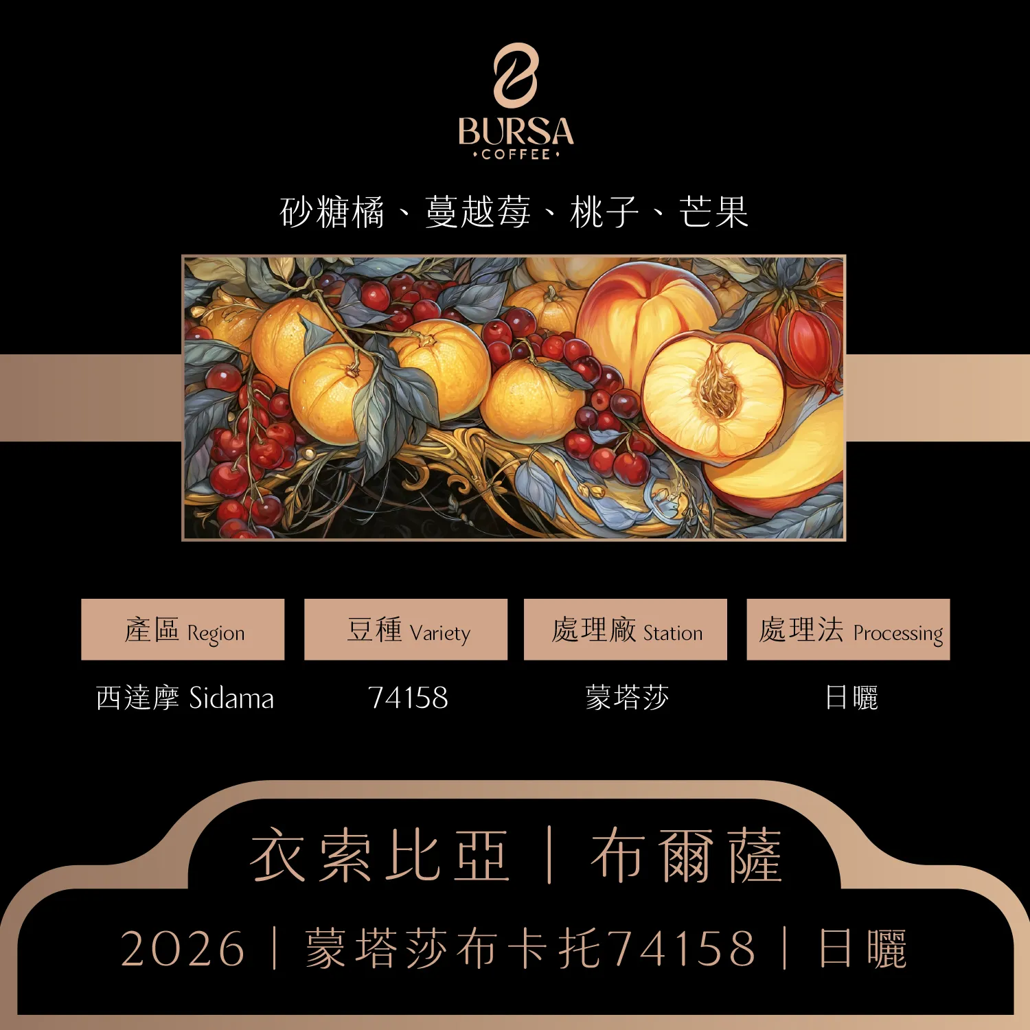 衣索比亞 布爾薩 西達摩 蒙塔莎布卡托 74158 日曬 拷貝1_0
