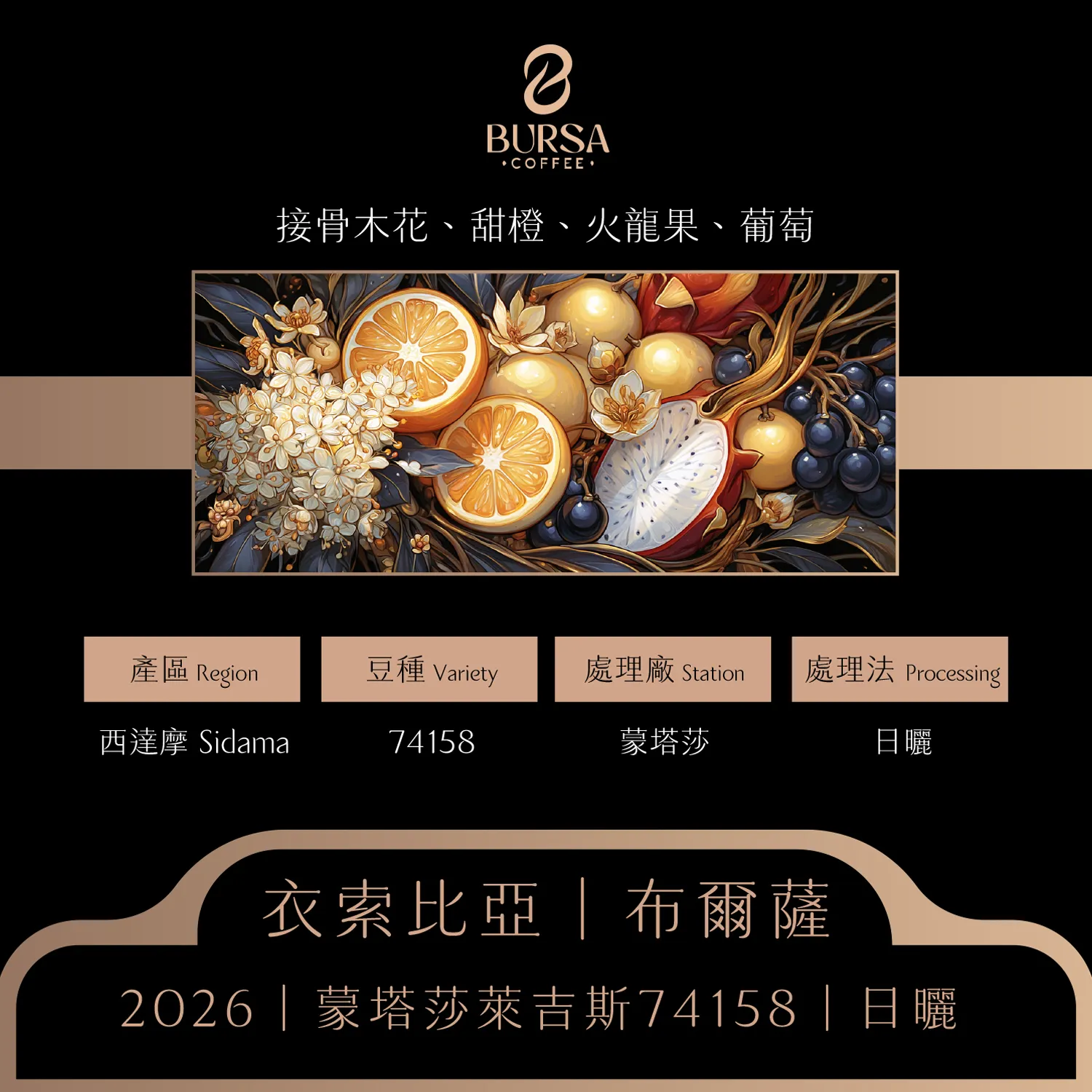 衣索比亞 布爾薩 西達摩 蒙塔莎萊吉斯 74158 日曬 拷貝1_0