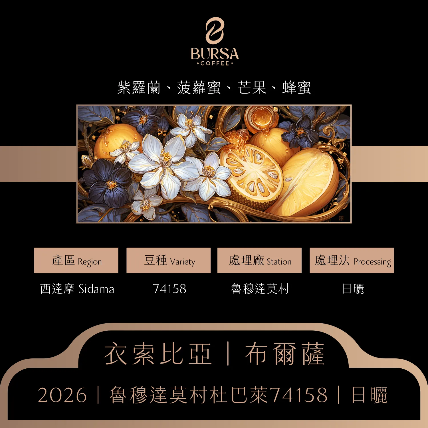 衣索比亞 布爾薩 西達摩 魯穆達莫村 杜巴萊 74158日曬 拷貝1_0