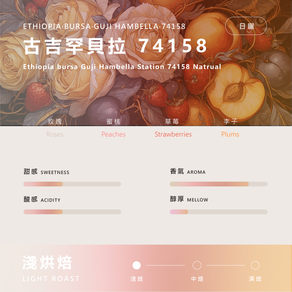 衣索比亞 布爾薩 古吉罕貝拉 74158日曬1