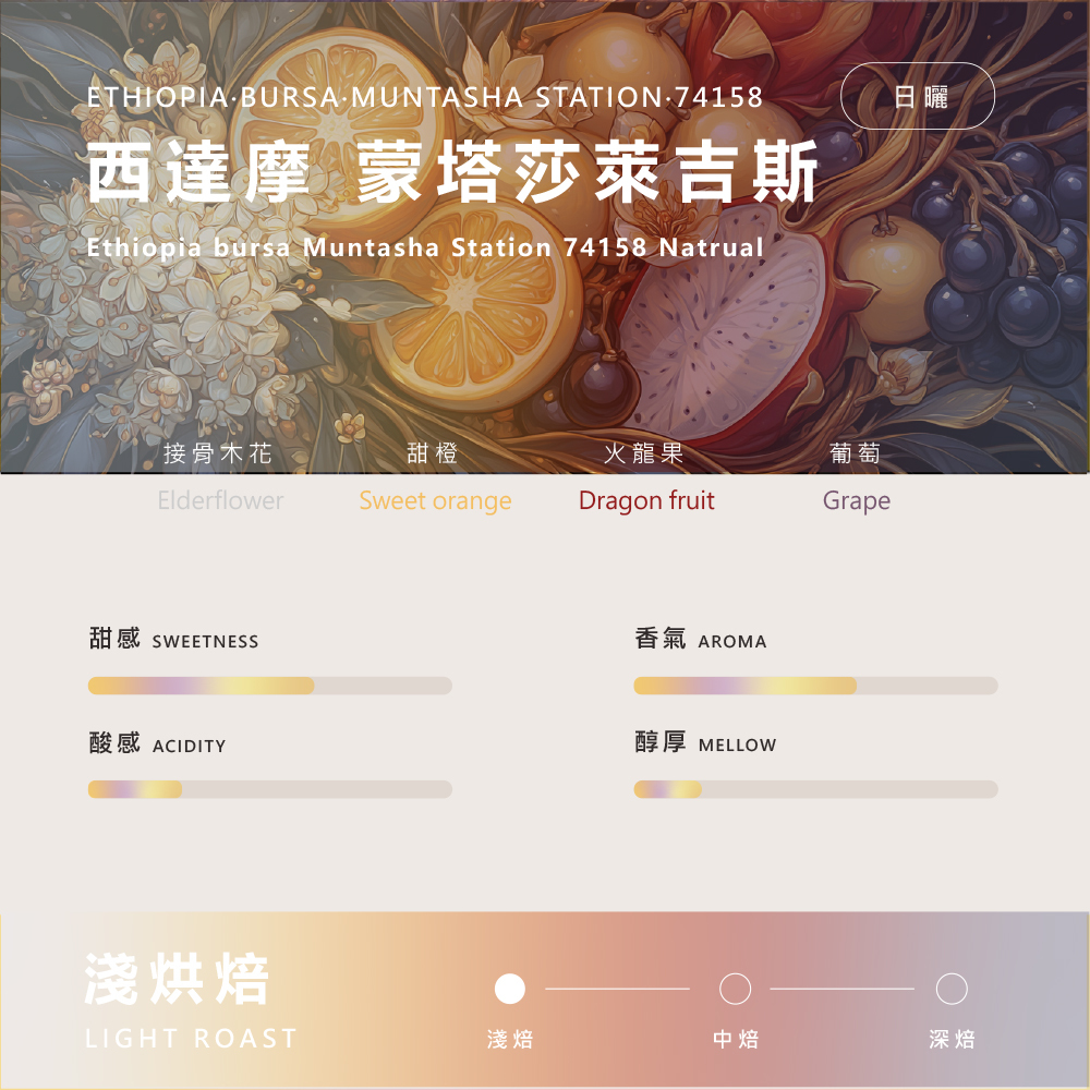 衣索比亞 布爾薩 西達摩 萊吉斯 74158日曬1