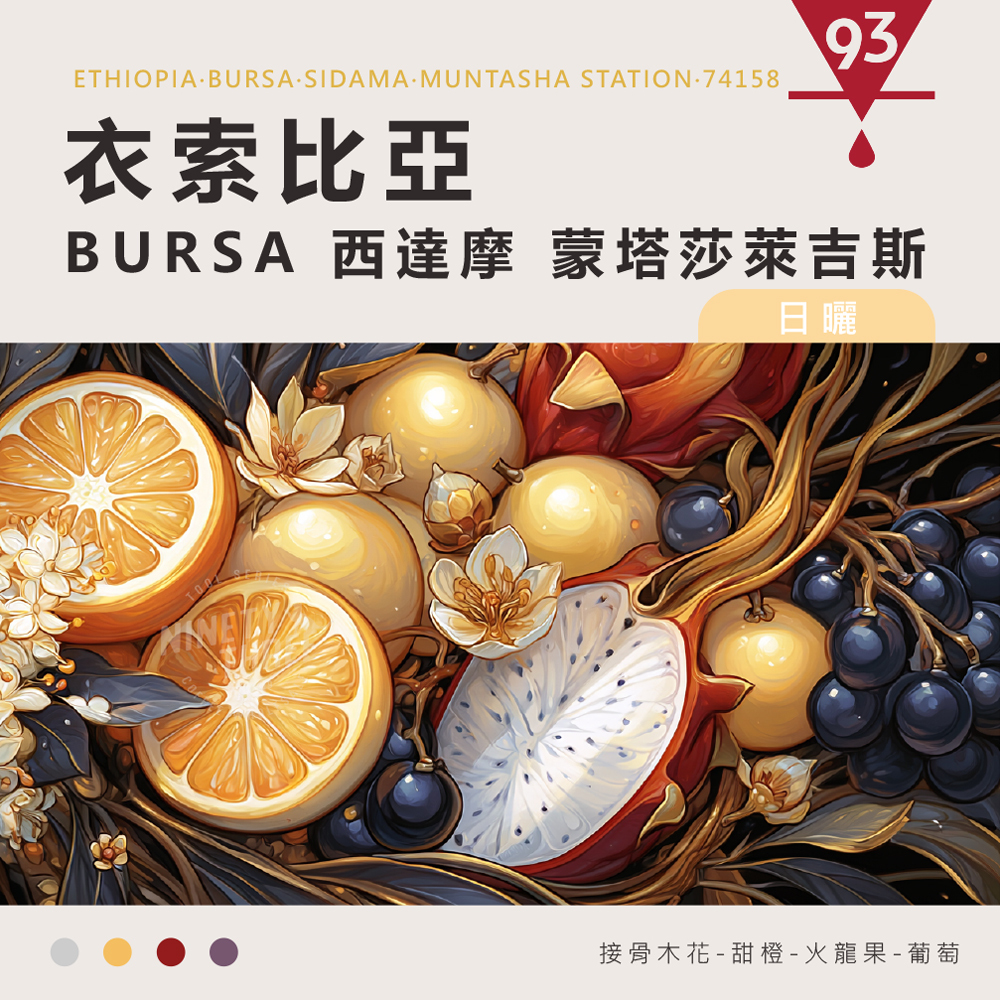 衣索比亞 布爾薩 西達摩 萊吉斯 74158日曬