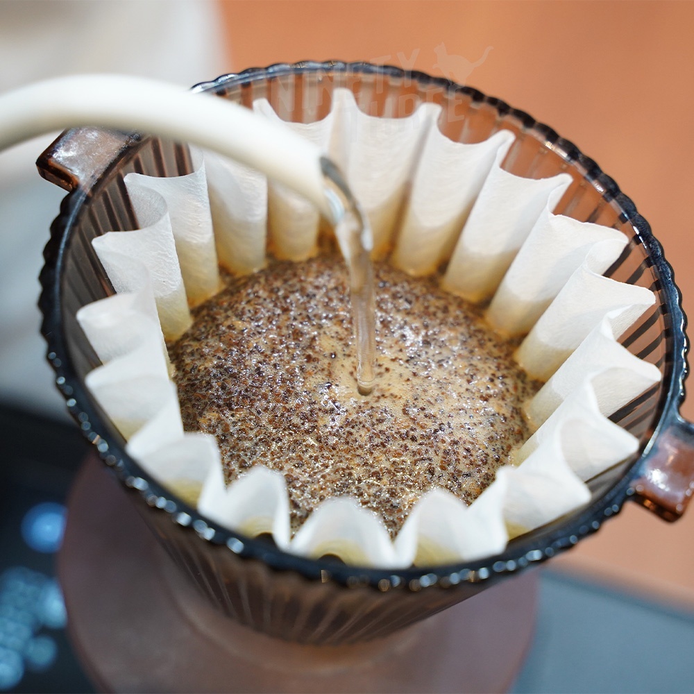 52b86f3b5645339fad6252d4806af58e