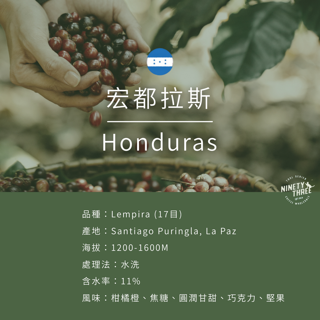 005_生豆封面_宏都拉斯-SHG _ 水洗_vivipic
