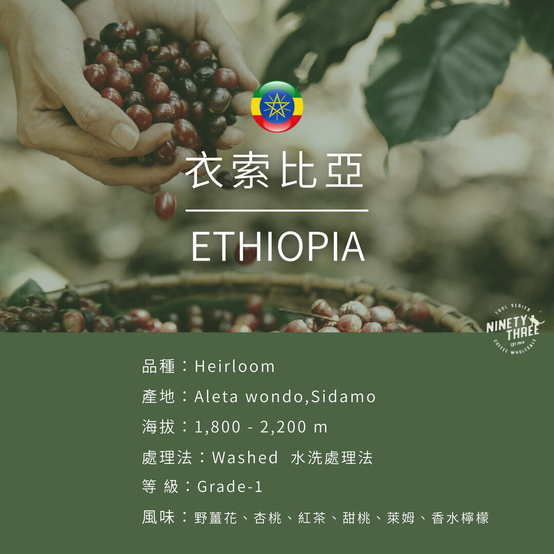 019_生豆封面_衣索匹亞 非洲之星 西達摩 藍色尼羅河 水洗 一級_vivipic