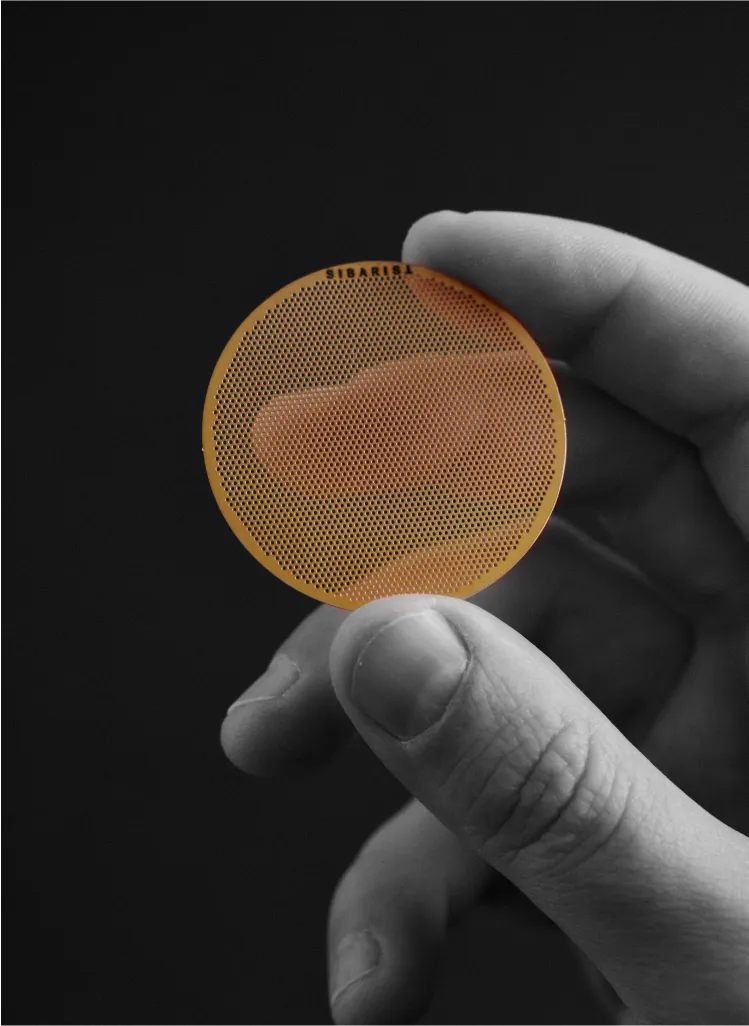 Sibarist-Booster-10-1