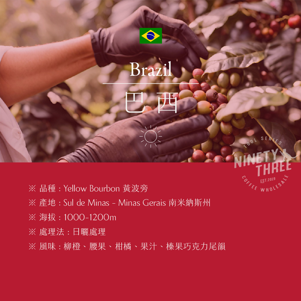 巴西 山邦拜亞 莊園 yellow bourbon natural