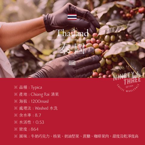 泰國水洗100_阿拉比卡