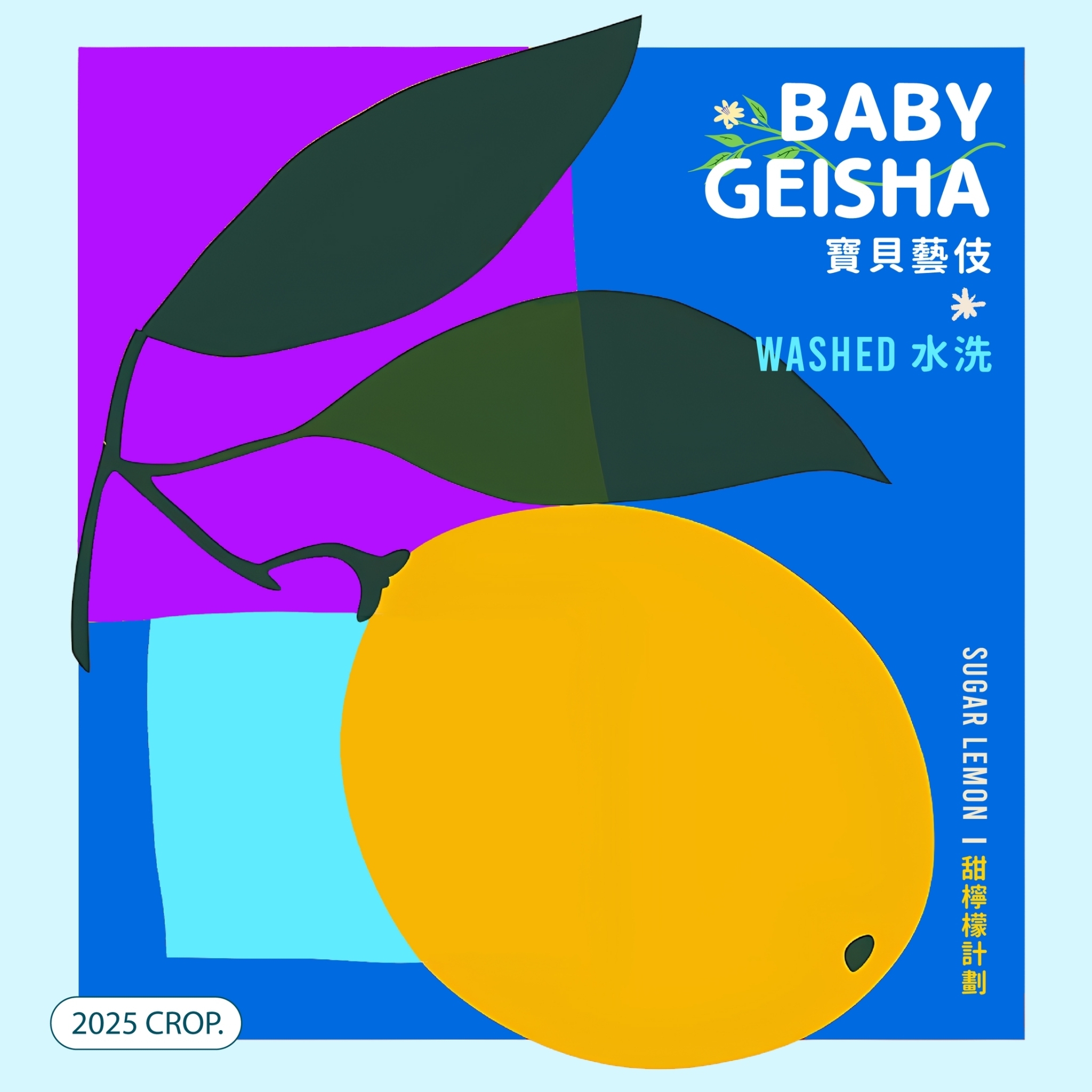 LINE_ALBUM_2025豆超衣索比亞新產季介紹圖卡_250214_5