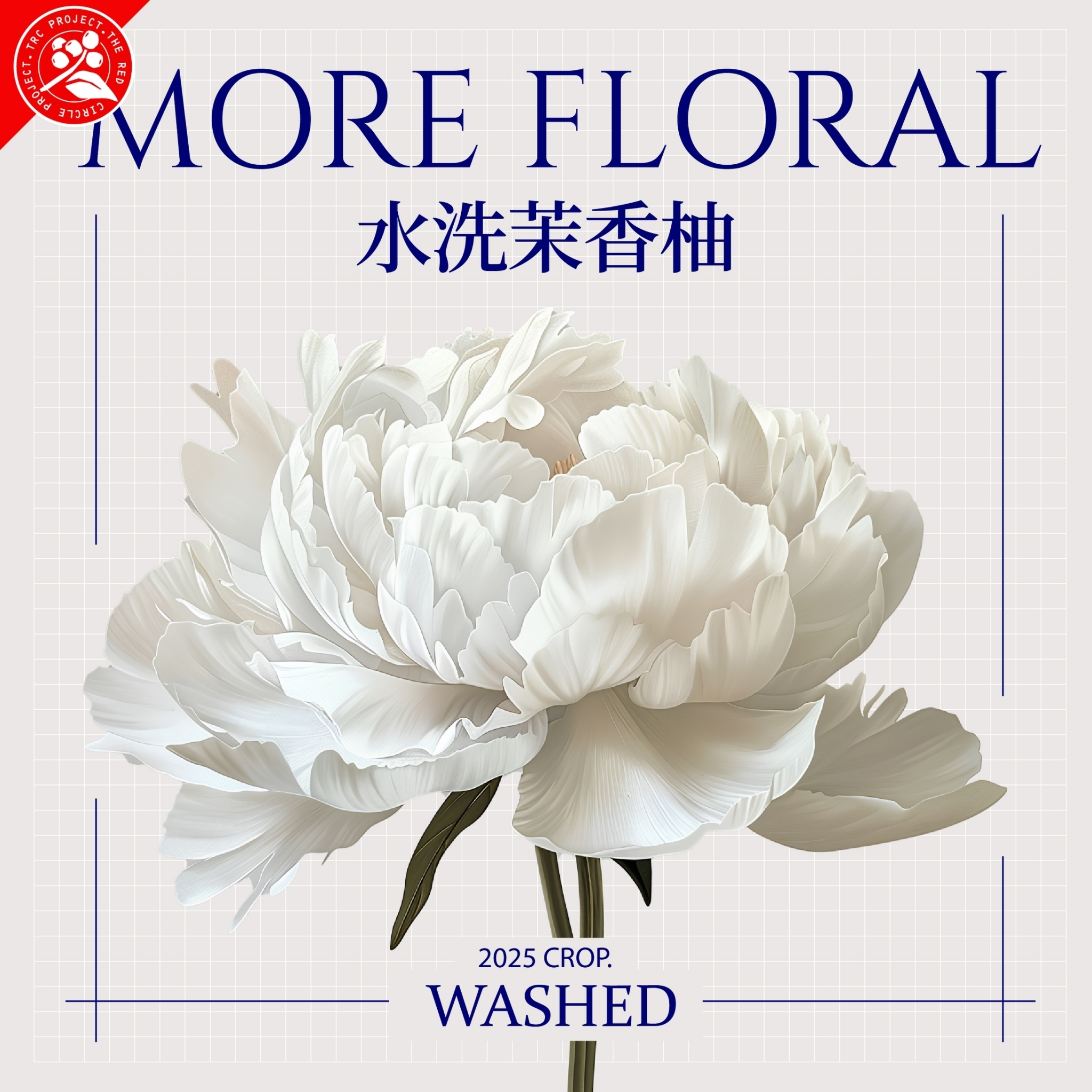 LINE_ALBUM_2025豆超衣索比亞新產季介紹圖卡_250214_9