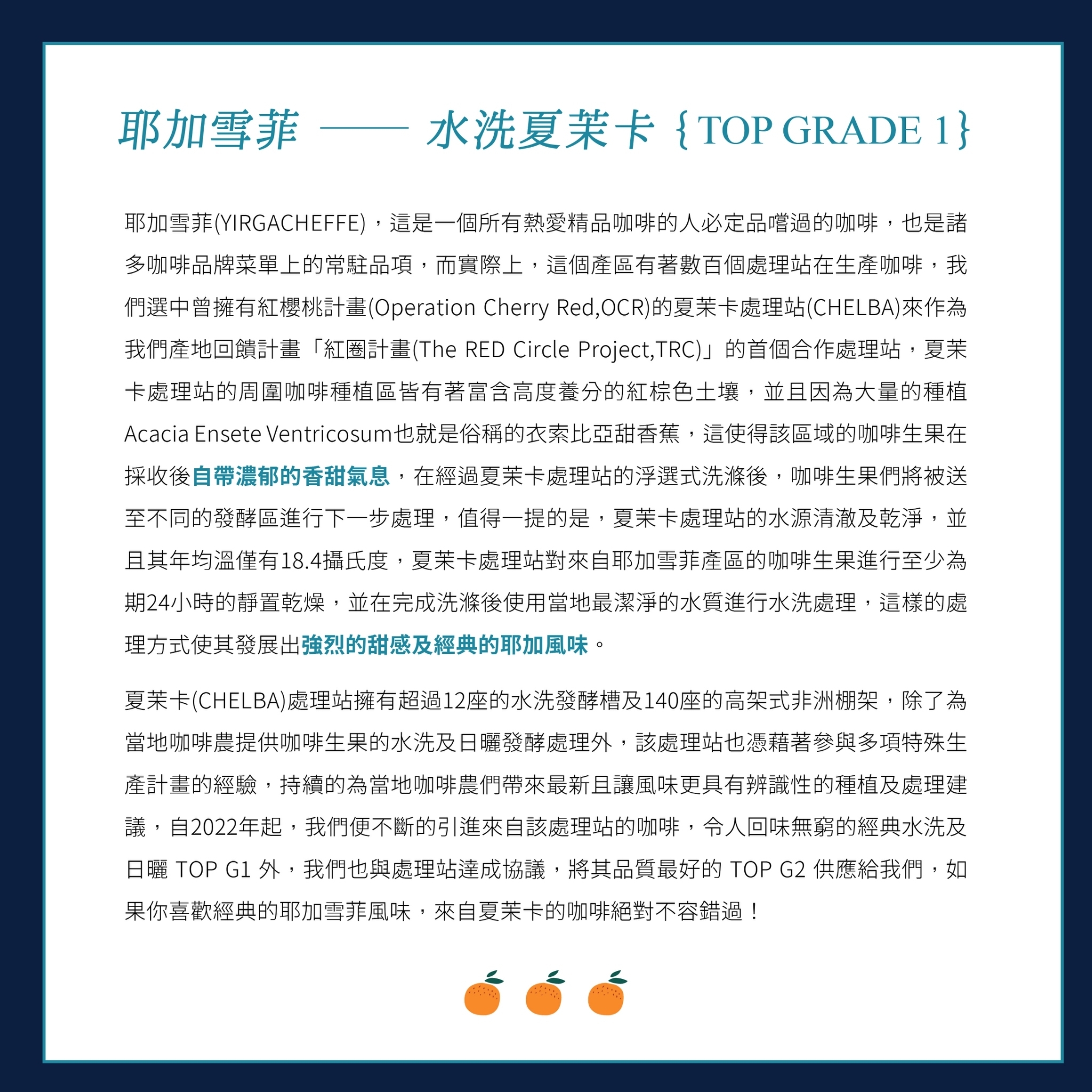 LINE_ALBUM_2025豆超衣索比亞新產季介紹圖卡_250214_18