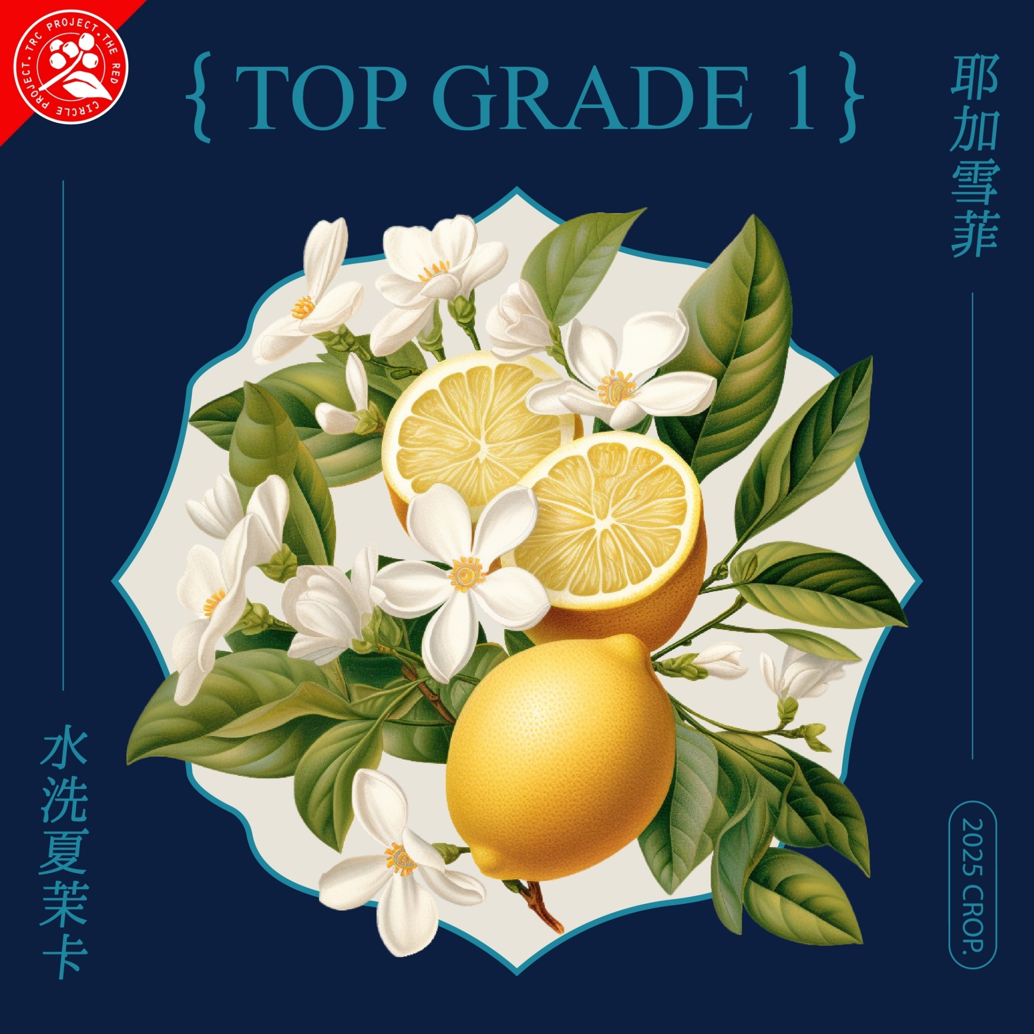 LINE_ALBUM_2025豆超衣索比亞新產季介紹圖卡_250214_17