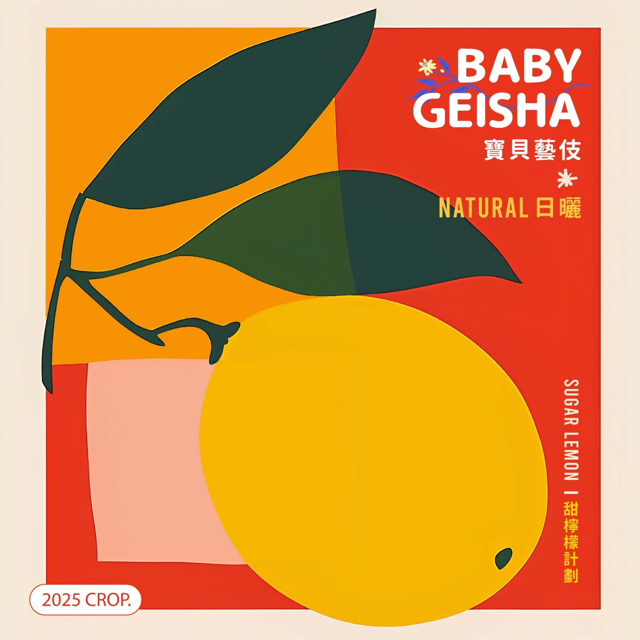 LINE_ALBUM_2025豆超衣索比亞新產季介紹圖卡_250214_29