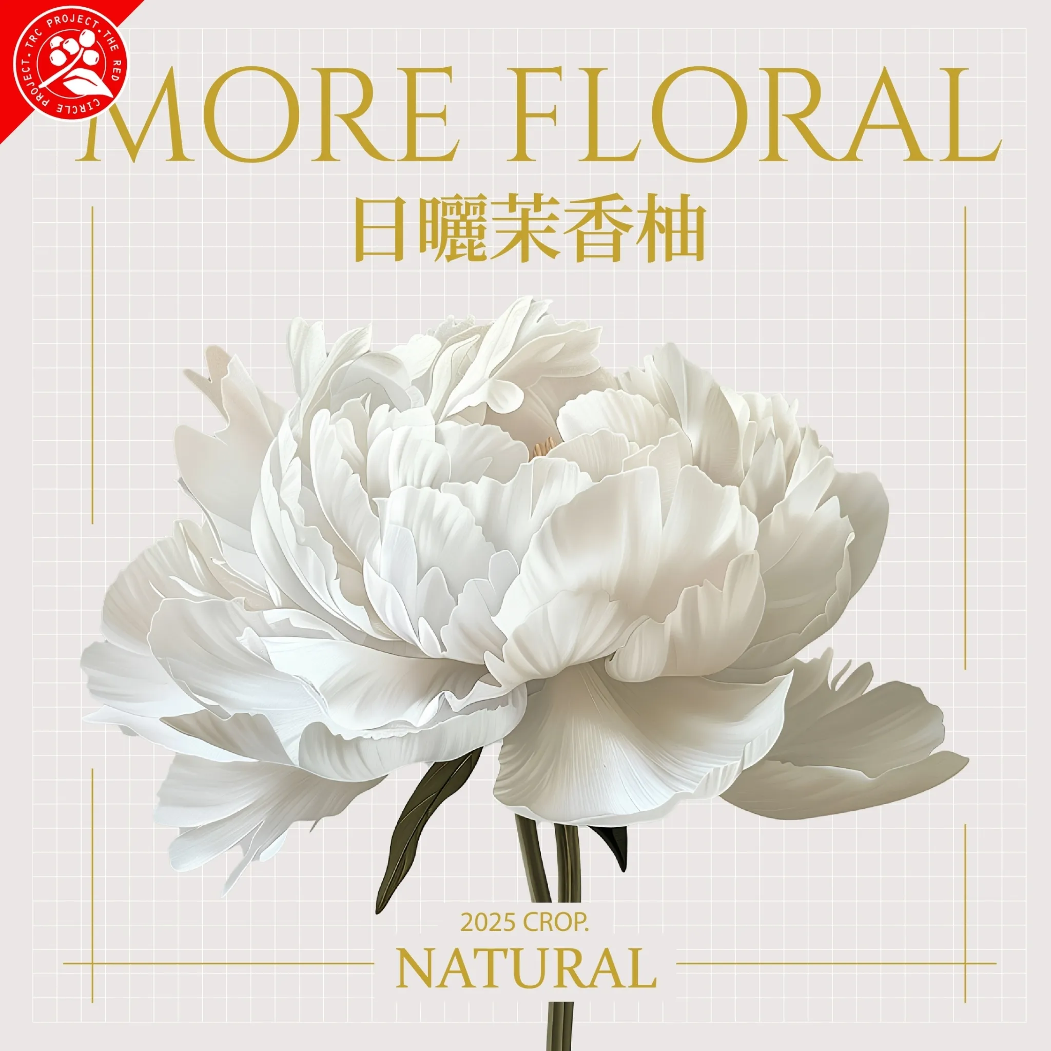 LINE_ALBUM_2025豆超衣索比亞新產季介紹圖卡_250214_33