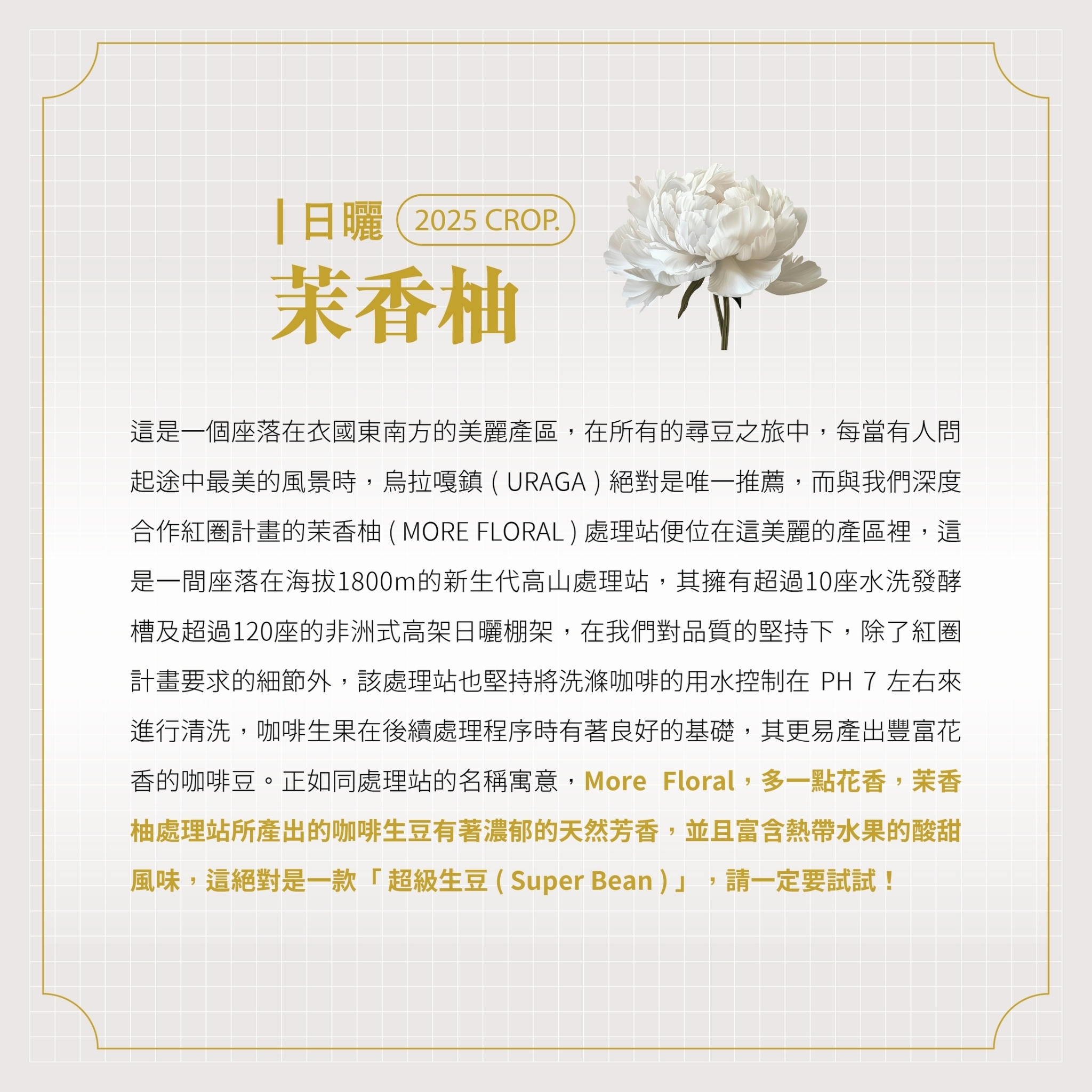 LINE_ALBUM_2025豆超衣索比亞新產季介紹圖卡_250214_34