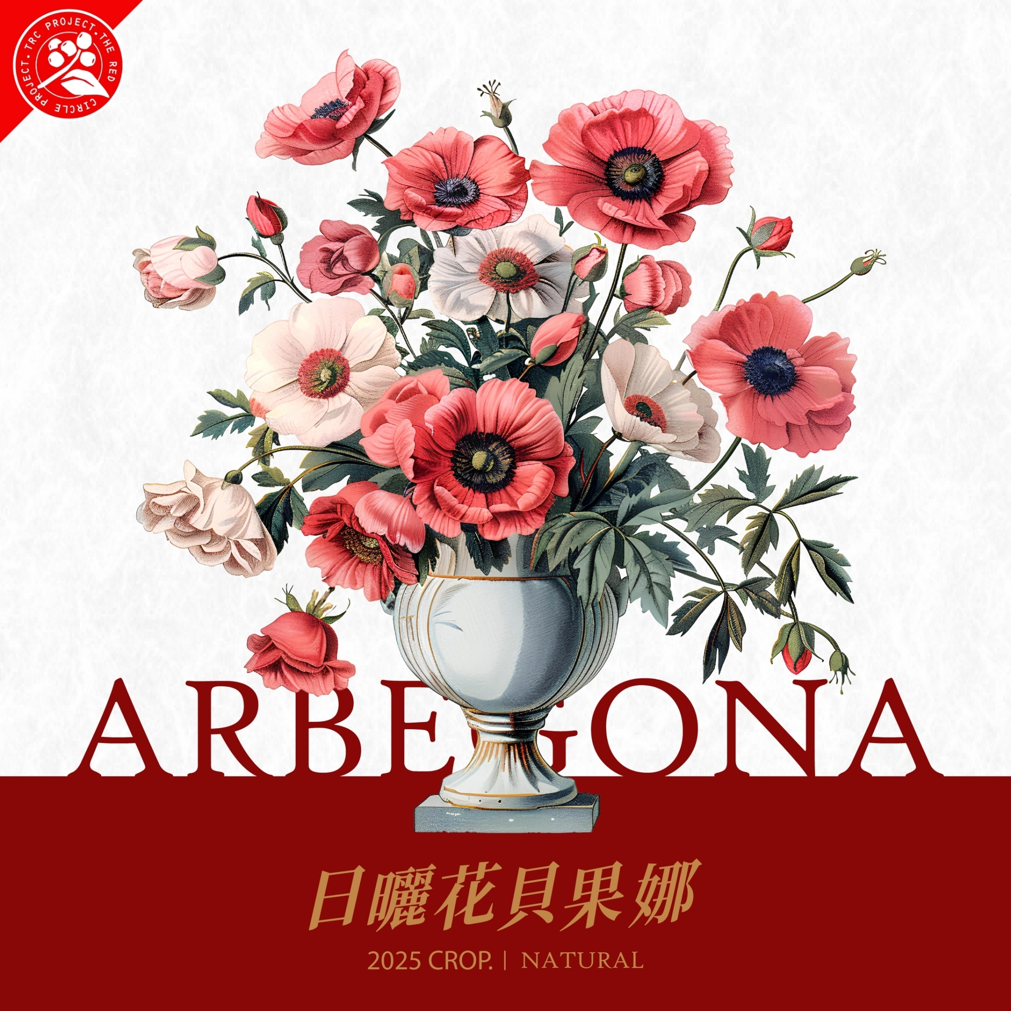 LINE_ALBUM_2025豆超衣索比亞新產季介紹圖卡_250214_37