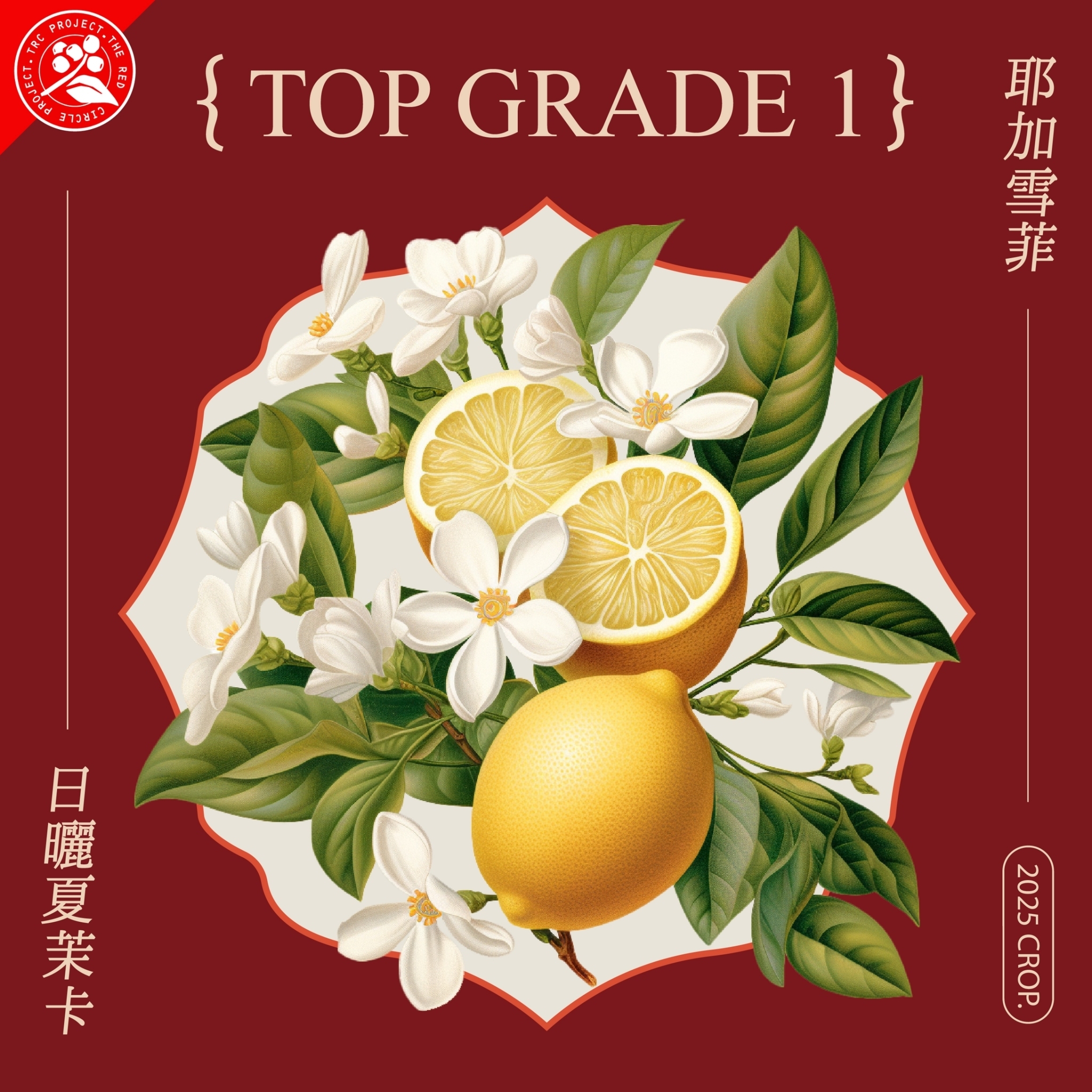 LINE_ALBUM_2025豆超衣索比亞新產季介紹圖卡_250214_41