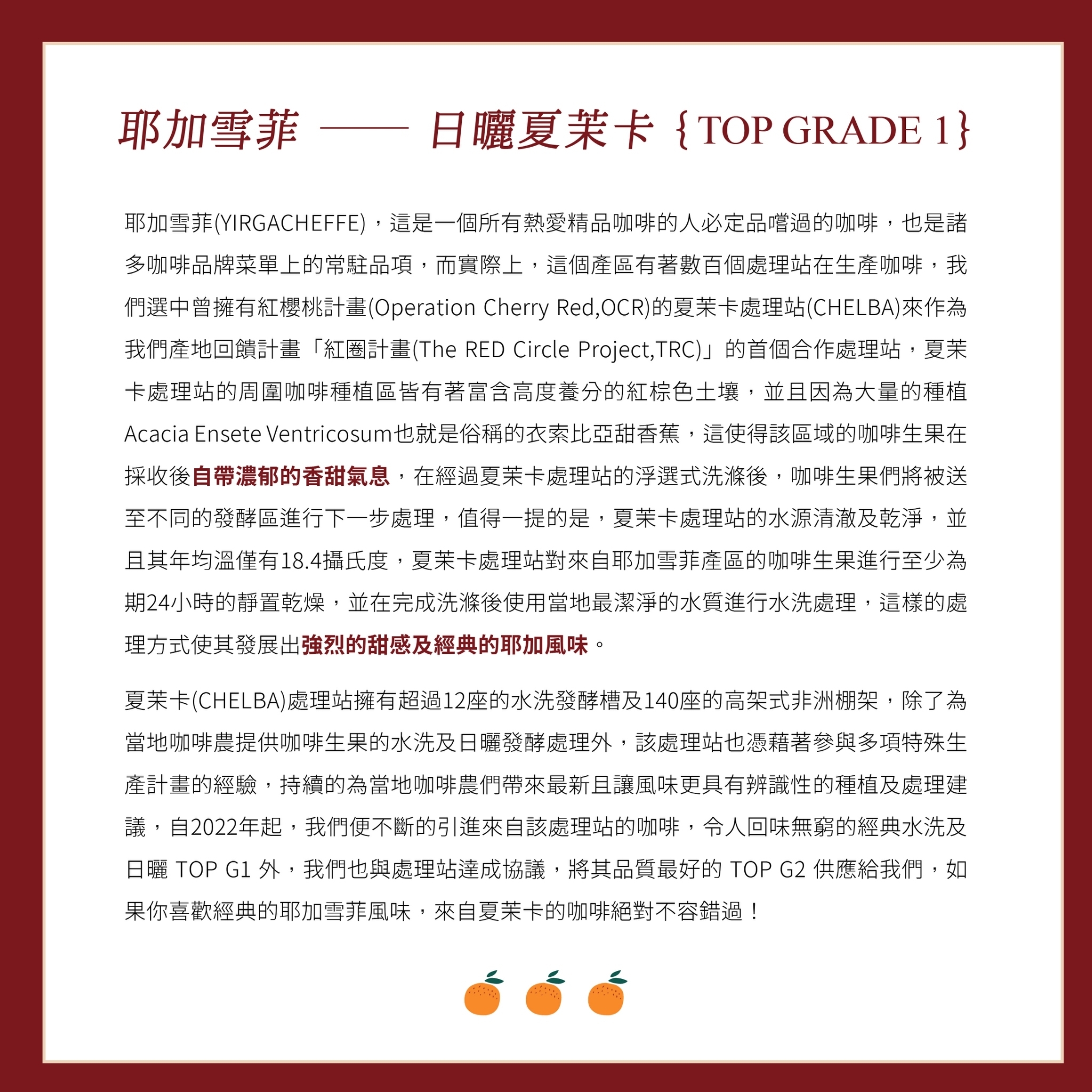 LINE_ALBUM_2025豆超衣索比亞新產季介紹圖卡_250214_42