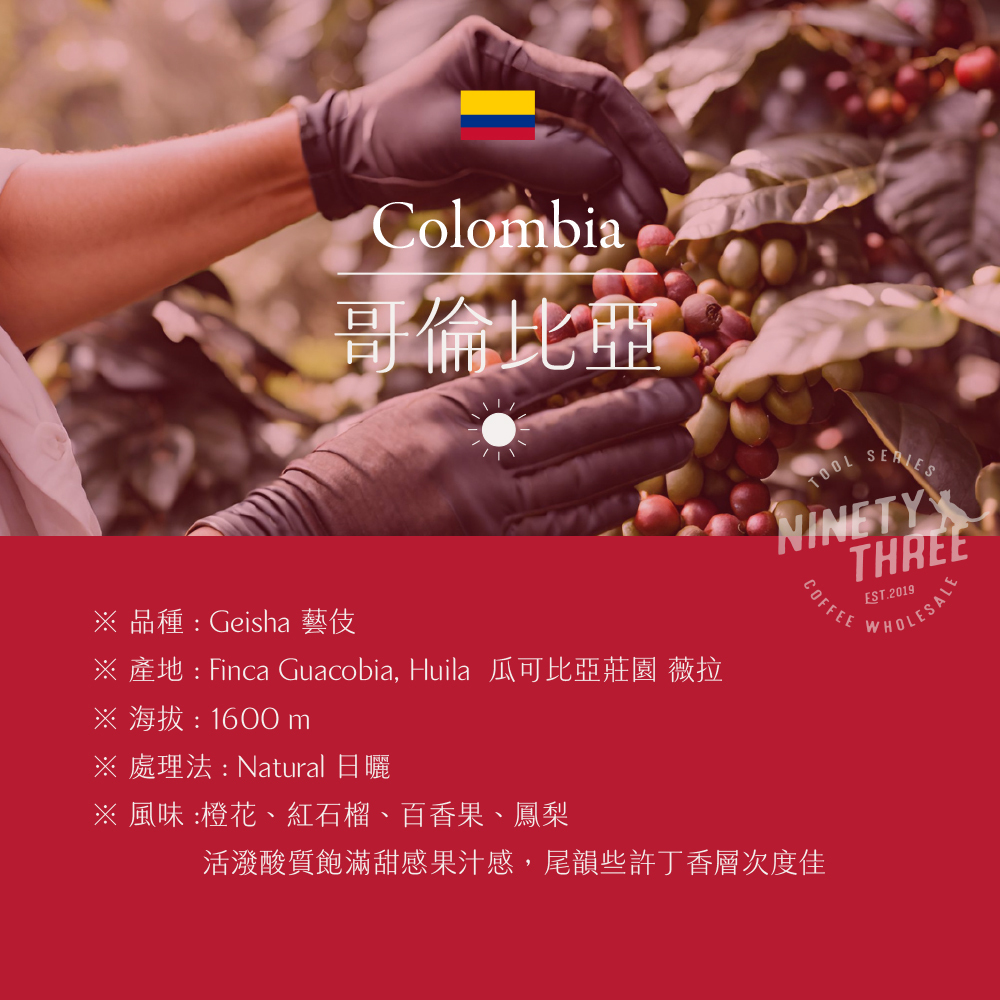 哥倫比亞 瓜可比亞莊園 薇拉 藝伎 日曬