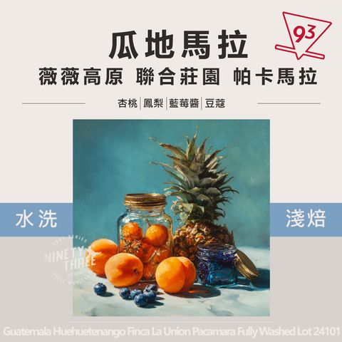 瓜地馬拉 薇薇高原 聯合莊園 帕卡馬拉 水洗處理_0