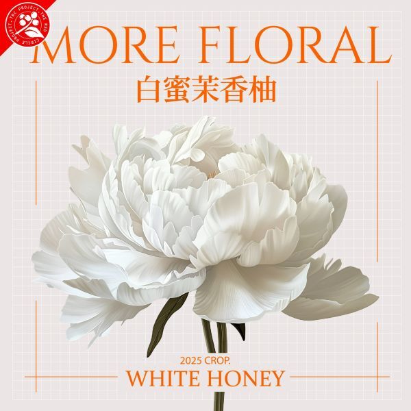 22aa311dffe46a1c28780e38dc68808f