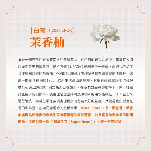 0cb84a6d2af620641950990a5f681141