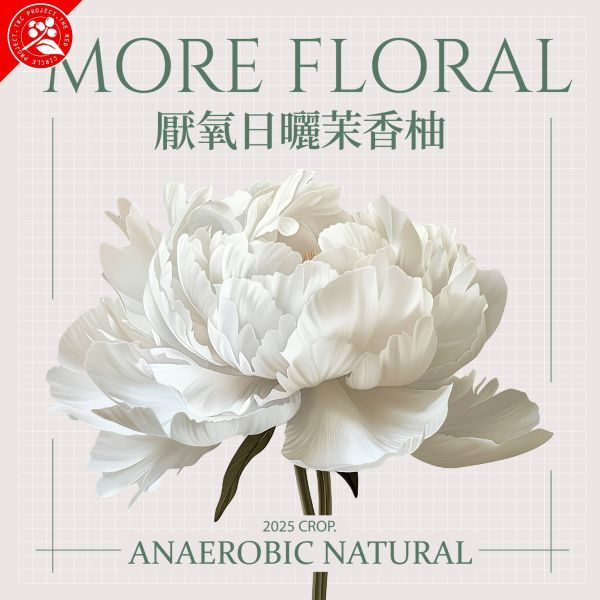 161badce5c0abc16e4a8ab187dd1c54a