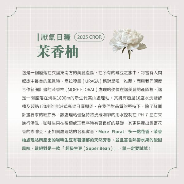 58df0ccda58cd4814da9d59e36ea35a3