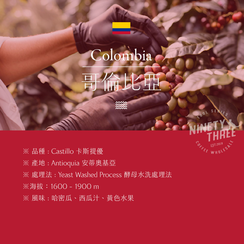 哥倫比亞 瑰崁莊園 卡斯提優 哈密瓜樂 酵母水洗_0