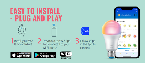 Wiz Plug & Play