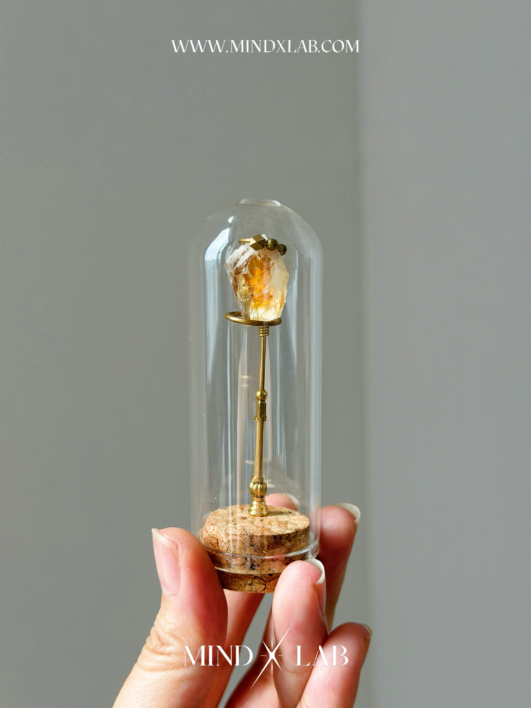 image_91870068-9FCA-449E-AEE8-826974841E4F_1775296096