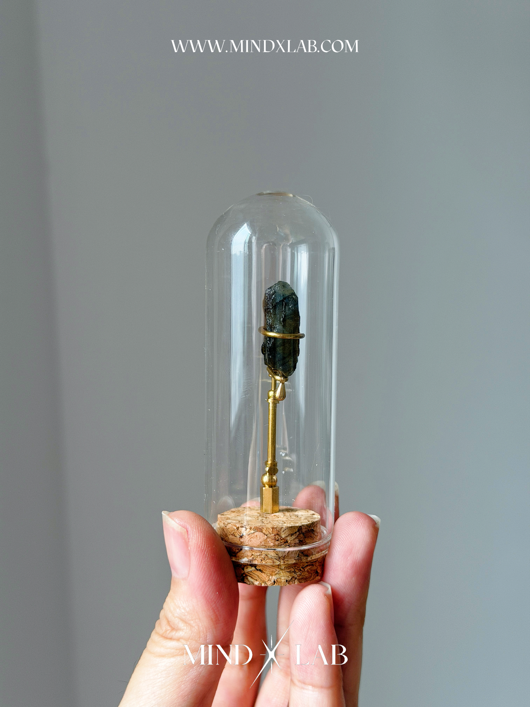 image_810A627A-BAD3-47C6-AF69-74BCD0E62D3B_1775296096