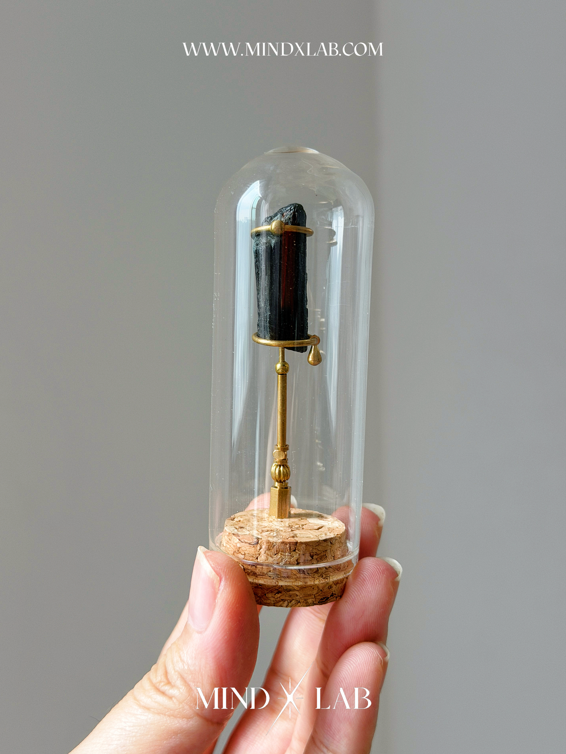 image_3F6957A0-86B0-4544-9019-D631068A392E_1775296096