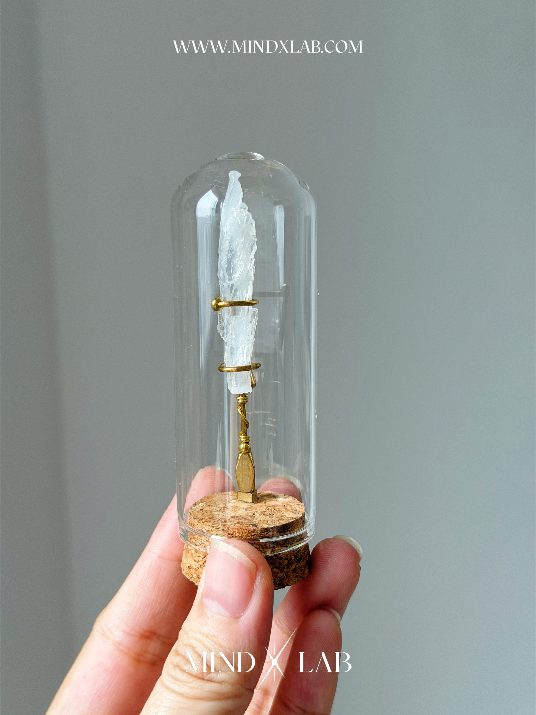 image_8DBE74BC-4596-4E91-873B-A8C86C4FEA13_1775296096